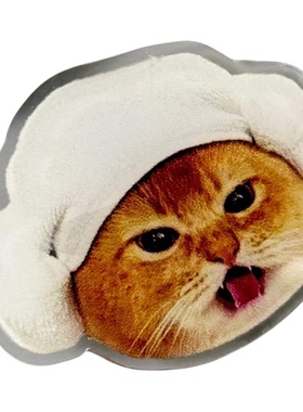 可爱猫咪发夹侧边刘海前额碎发卡子鸭嘴夹头饰超萌趣味少女卡通新