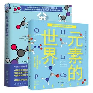 元素的世界+分子共和国全2册 这就是物理这就是化学北京大学化学与分子工程学院经典数理化科普百科阅读书籍教学辅导书籍