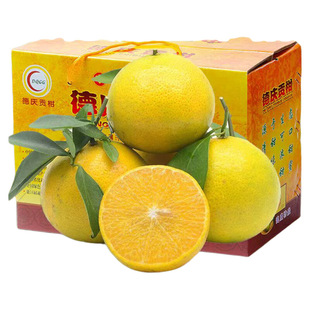 正宗德庆贡柑皇帝柑当季新鲜沃橘丑桔子爱媛水果整箱5/10斤装现摘