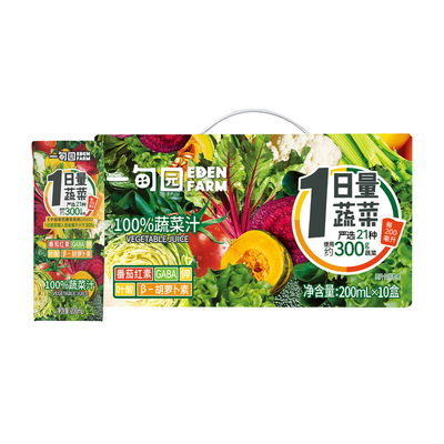 一甸园100%蔬菜汁 使用21种约300克蔬菜 液体沙拉200mL*10盒