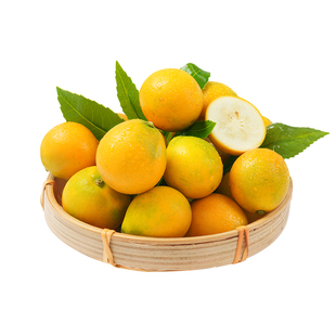 东方甄选金桔鲜果蜜桔产自广西融安桔子新鲜当季时令应季水果整箱