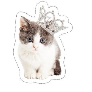 定制抱枕来图定做照片小人偶异形枕头无白边宠物娃娃猫老鼠干玩偶