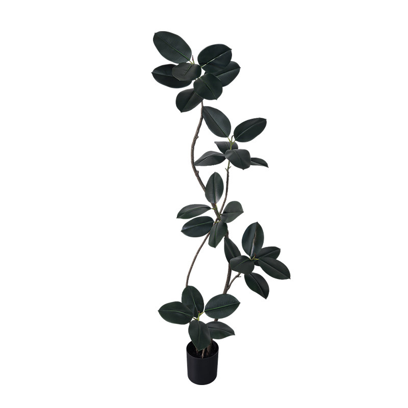 仿真绿植黑金刚橡皮树落地装饰