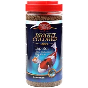 精品红顶虎金鱼正顶虎头猫狮红头金鱼鸿运当头活体冷水观赏鱼