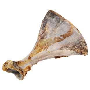 狗狗零食羊扇骨狗狗磨牙棒金毛萨摩洁齿磨牙中大犬宠物零食天然骨