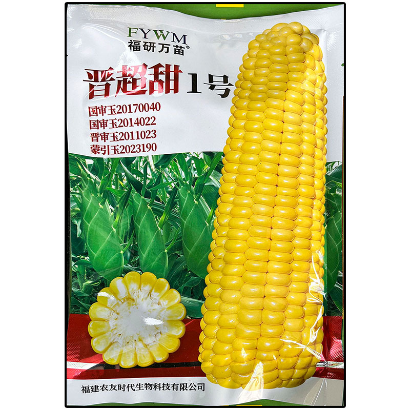 晋超甜1号黄玉米蔬菜种子孑籽