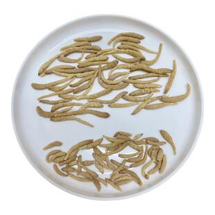 大粗条太子参 无硫孩儿参 儿童厌食成长参 药膳养生食材 炖汤料包