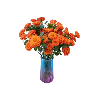 多头玫瑰鲜花云南基地直发婚庆鲜花捧花搭配橙芭比折射巧克力泡泡