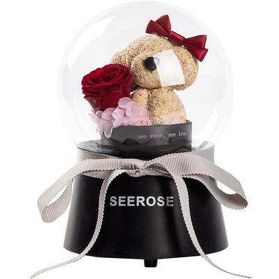 SEEROSE旋转音乐盒永生花甜心狗
