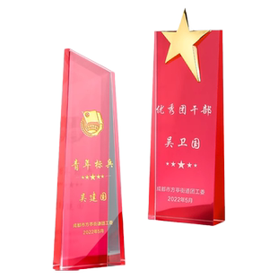 优秀党员纪念品水晶奖杯定制七一党务先进工作者组织颁奖表彰定做