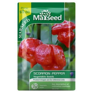 【掌柜推荐】变态辣蝎子哈瓦那魔鬼椒卡罗纳死神龙息辣椒种子苗