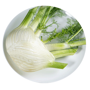 新鲜茴香头香料菜包邮5斤西餐配料调料球茎茴香菜蔬菜现挖