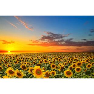 青山树林向日葵花海自粘贴画装饰客厅大气自然风光唯美海报背景墙