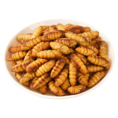 金丝蚕蛹鲜活速冻顺丰发货