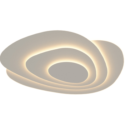 2026新款客厅主灯创意椭圆形灯具