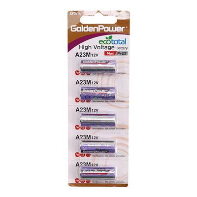 goldenpower卷帘门防盗器电池