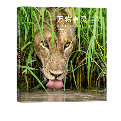 万物有灵野生生物摄影年赛第54届