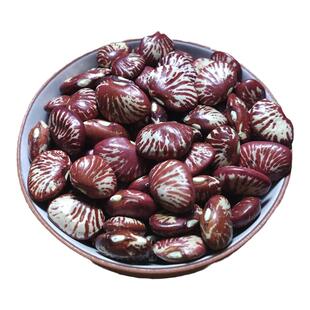 斑马豆500g肾豆农家花豆云南豆子豆类杂粮花芸豆非荷包豆包邮