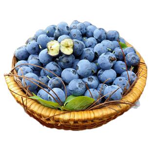 蓝莓新鲜水果大全各种官方旗舰店顺丰次日达云南花香蓝梅鲜果