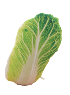 仿真蔬菜公仔抱枕冬瓜土豆青菜辣椒毛绒靠垫玩具礼品拍摄道具