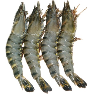 15只12只10只900g 黑虎虾新鲜大草虾海鲜活冷冻水产九节虾斑节虾