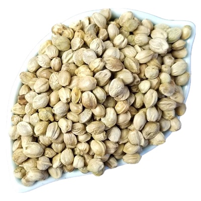 甘肃特产天水特大颗粒香新青麻子