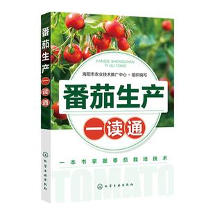 番茄生产一读通 西红柿优质栽培技术 番茄露地栽培番茄高效种植管理 番茄病虫害防治技术 专业菜农植保人员蔬菜企业技术人员参考书