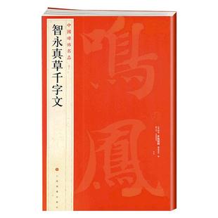智永真草千字文 中国碑帖名品40 释文注释 繁体旁注 草书毛笔书法字帖碑帖 楷书草书毛笔字帖书法临摹临帖练习古帖 上海书画出版社