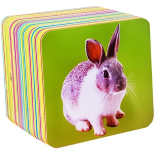 带儿歌的认知卡片早教卡宝宝看图识物卡婴儿益智玩具儿童全脑闪卡