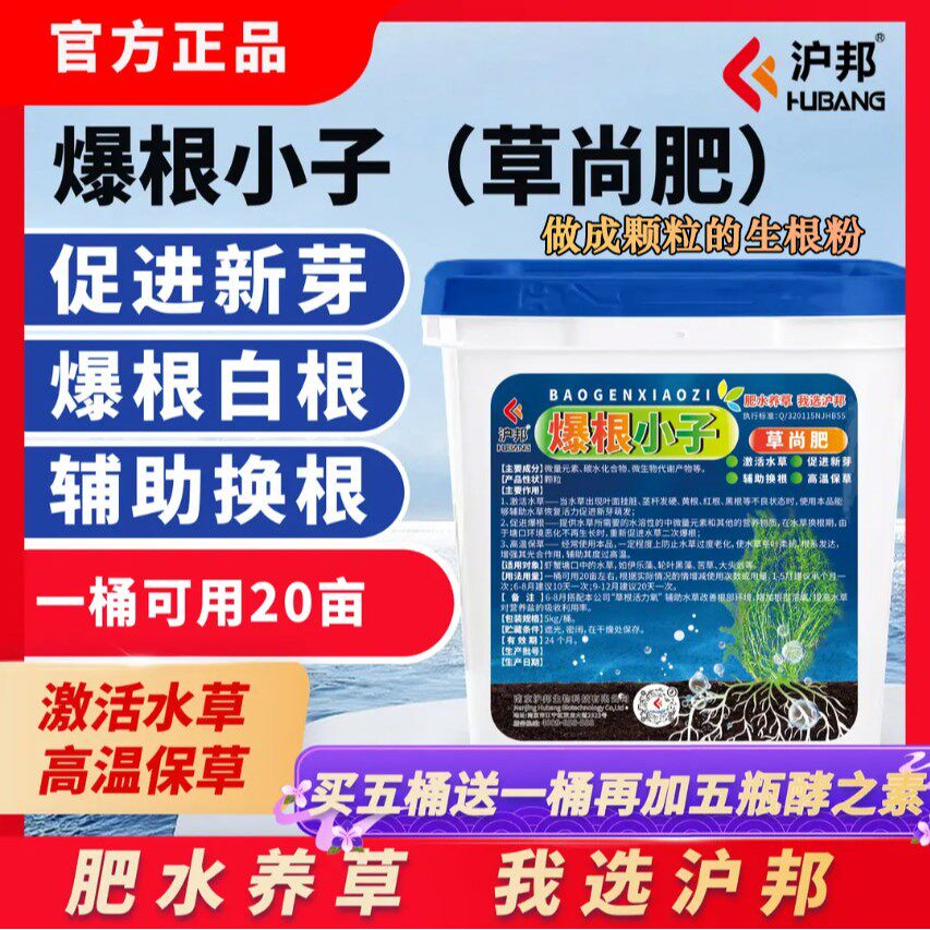 沪邦爆根小子草尚肥水草爆根白根生新根高温保草做成颗粒的生根粉