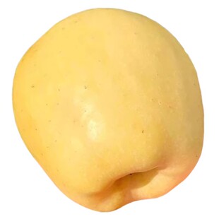 黄金维纳斯苹果山东新鲜水果大当季整箱时令孕妇正宗奶油烟台脆甜