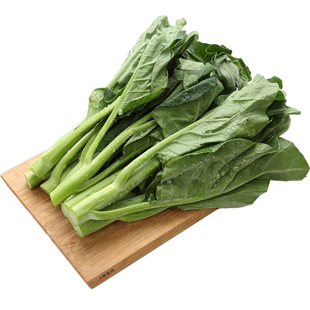 芥兰菜心新鲜时令蔬菜特产农家白灼甜芥兰苗仔食用芥兰苔菜花批发