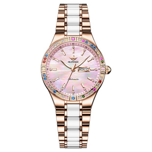 瑞士认证正品牌专卖店新款轻奢小众女表进口机芯机械表高档十大