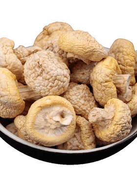 青海祁连山黄蘑菇干货野生菌250g
