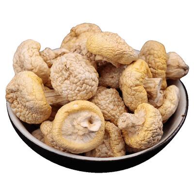 青海祁连山黄蘑菇干货野生菌250g