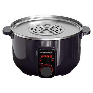 电蒸锅蒸笼蒸菜多功能家用大容量自动断电小型插电竹小笼包沙县商