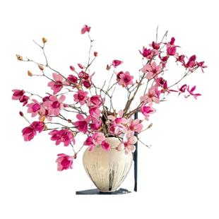 水培玉兰花鲜切枝带花苞腊梅干枝红梅鲜花卉室内好养四季开花植物