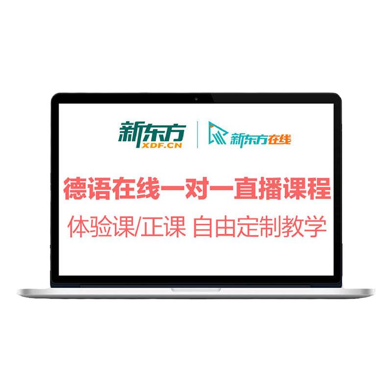 新东方在线德语一对一直播课程网课1对1辅导培训口语欧标入门考级