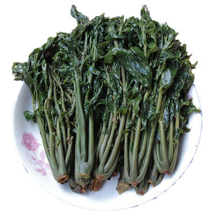 2024香椿芽咸菜山东特产新鲜腌制香椿头下饭菜500g酱菜香椿