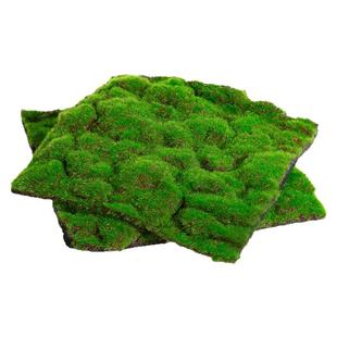 仿真苔藓微景观造景植物四季常青仿生绿植假草皮室内桌面铺面地毯