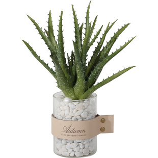 ins网红仿真多肉植物盆栽摆件家居客厅摆设北欧装饰仙人掌小盆景