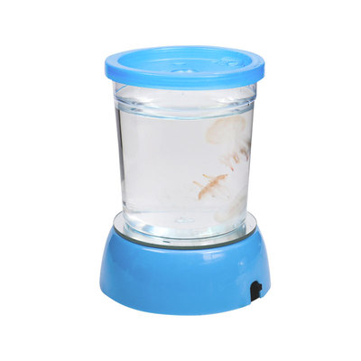 水母活物宠物发光懒人桌面缸宠物