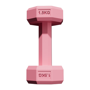 哑铃女士家用健身训练2kg一对包胶彩色小哑铃壶铃塑形健身器材