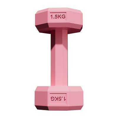 2kg一对女生塑形哑铃家用训练