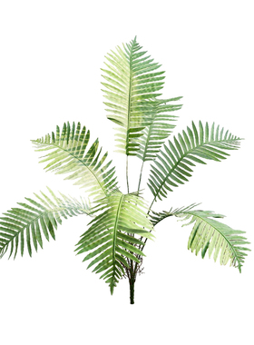仿真蕨类假绿植橱窗设计插花配材