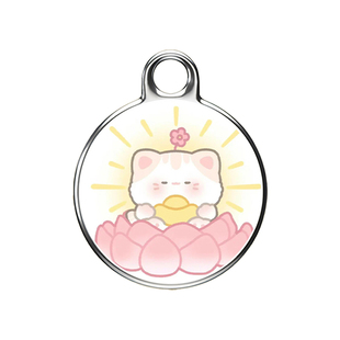 无需充电定位器汽车追踪5G车载订位录音神器追跟车辆跟踪定仪器j