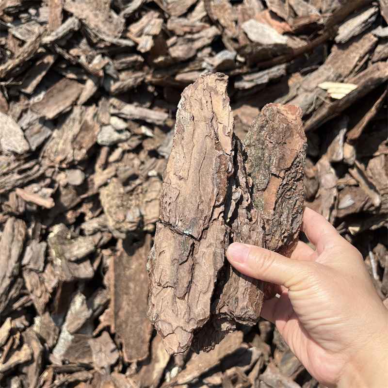 大块松树皮 有机覆盖物 园林绿化景观装饰树皮