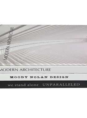 黑白灰样板间仿真书摆件简约