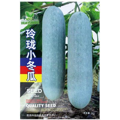 玲珑小冬瓜种子粉皮水果台湾四季