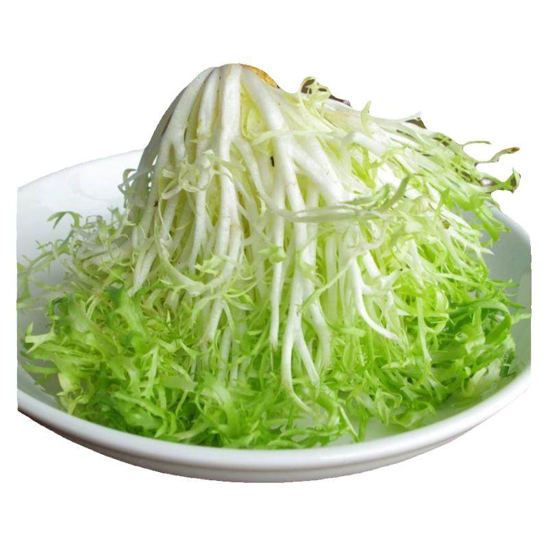 苦菊新鲜蔬菜沙拉西餐食材健身
